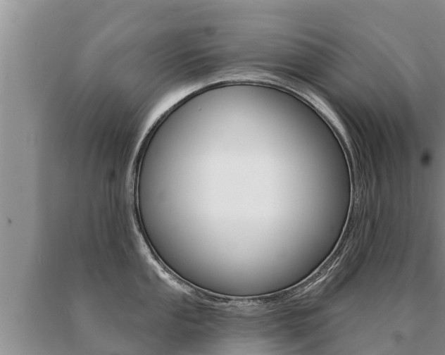 X0000091071053200708061018