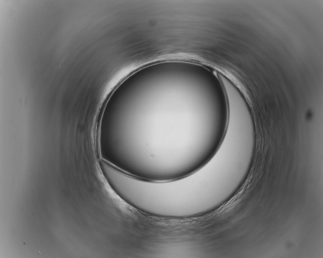 X0000091071054200708061018