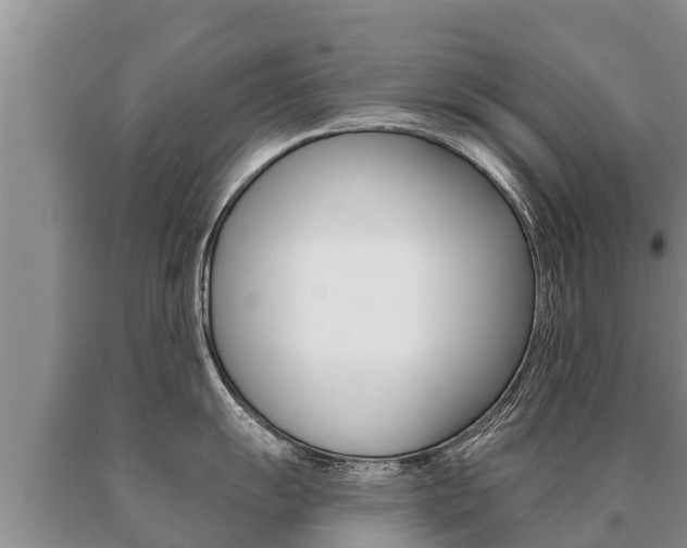 X0000091071055200708061018