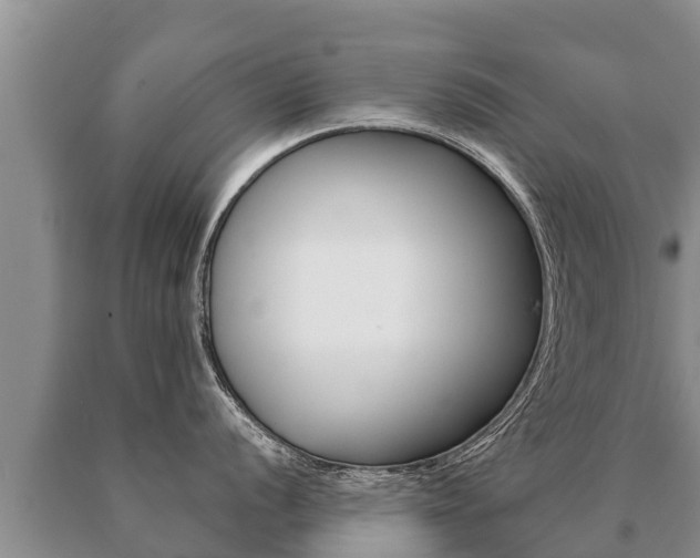 X0000091071056200708061018