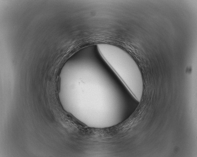 X0000091071057200708061018