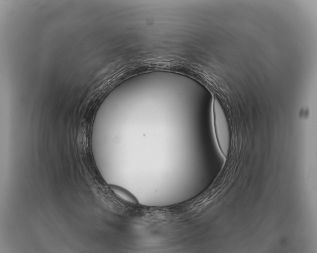 X0000091071058200708061018