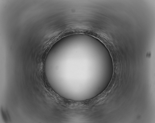 X0000091071061200708061018