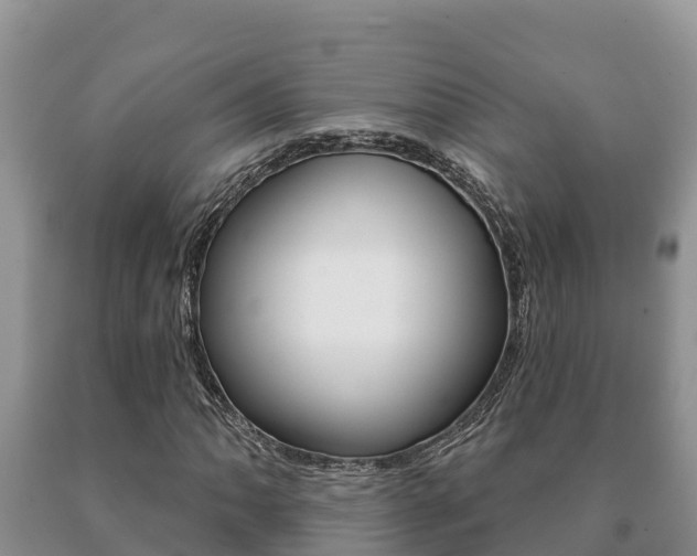 X0000091071062200708061018