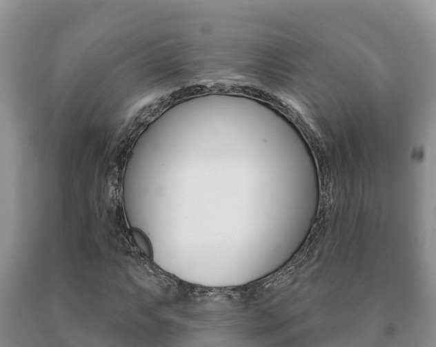 X0000091071063200708061018