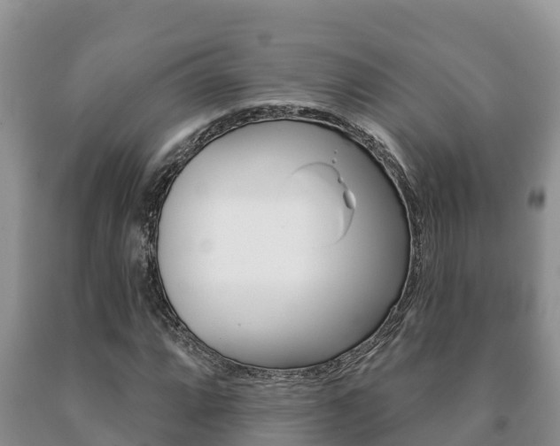X0000091071064200708061018
