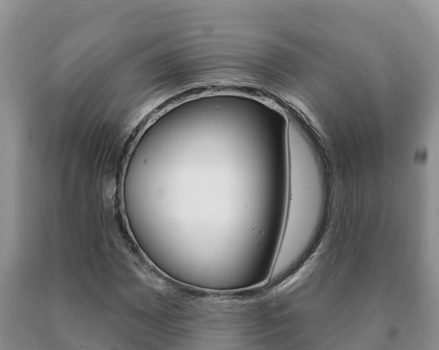 X0000091071065200708061018