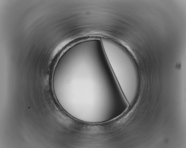 X0000091071066200708061018