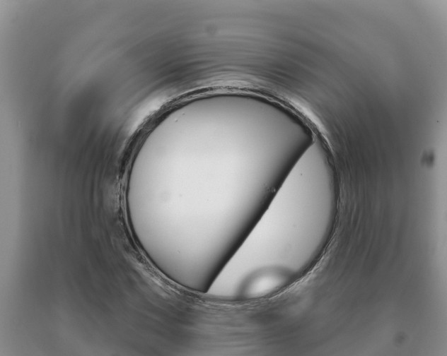 X0000091071067200708061018