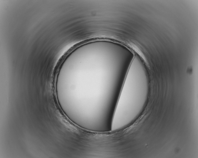 X0000091071068200708061017