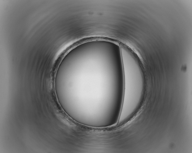 X0000091071069200708061017