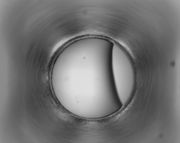 X0000091071070200708061017