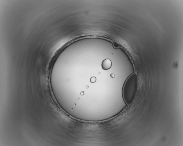 X0000091071071200708061017