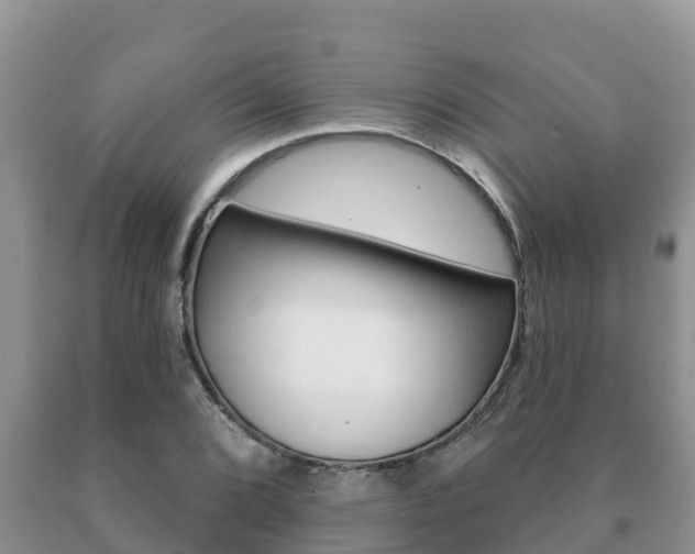 X0000091071072200708061017