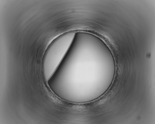X0000091071073200708061017