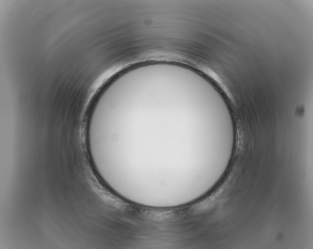 X0000091071074200708061017