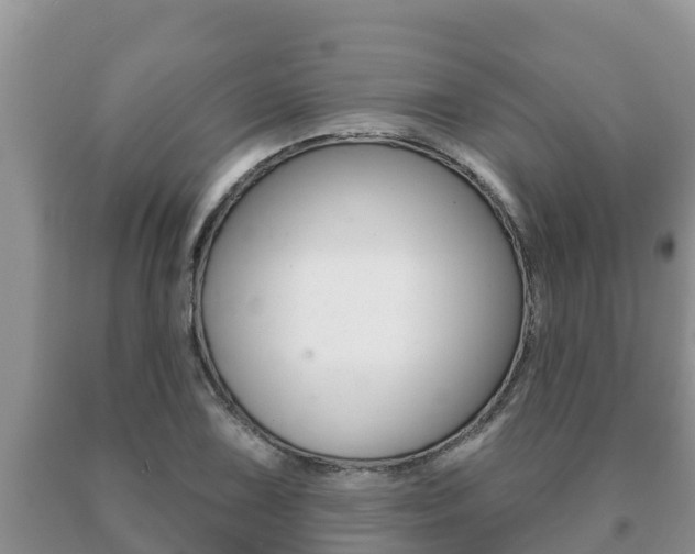 X0000091071075200708061017