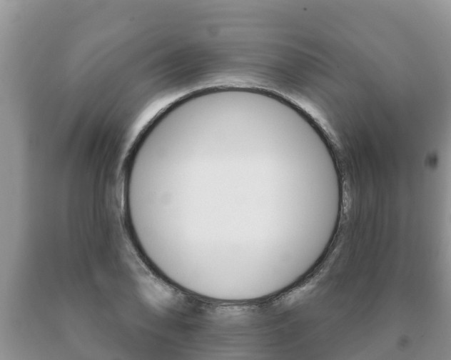 X0000091071078200708061017
