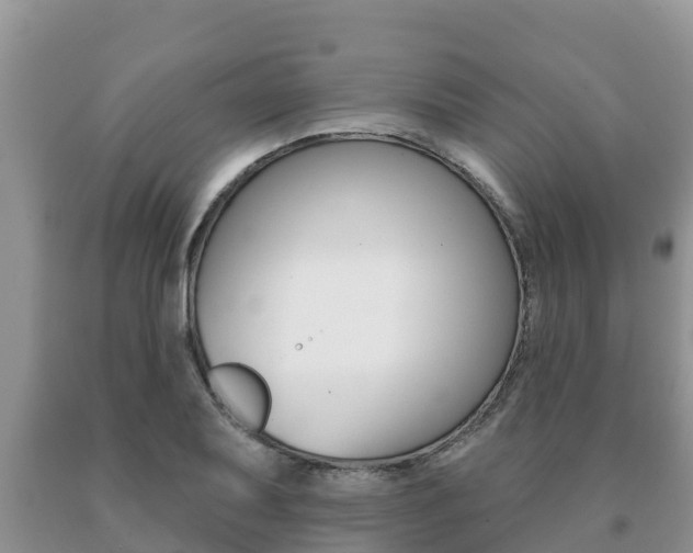 X0000091071079200708061017