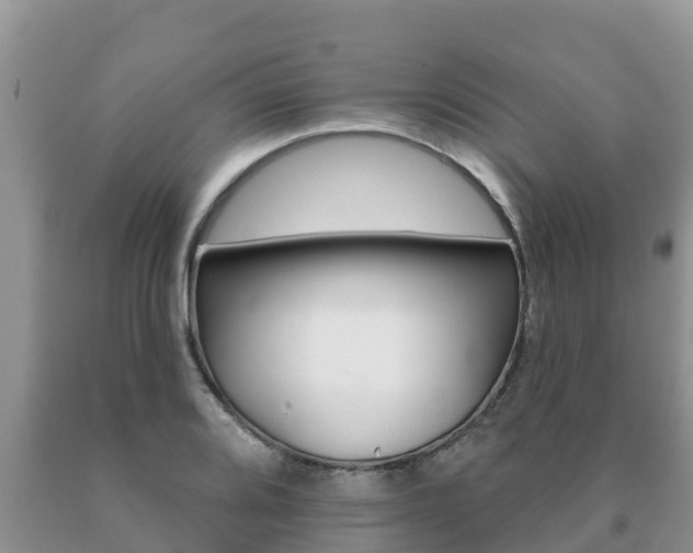 X0000091071080200708061017
