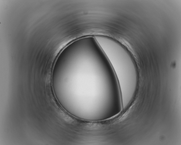 X0000091071081200708061017