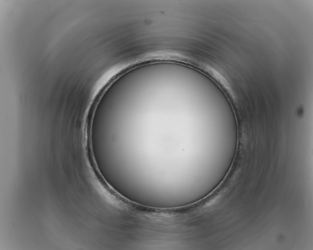 X0000091071082200708061017