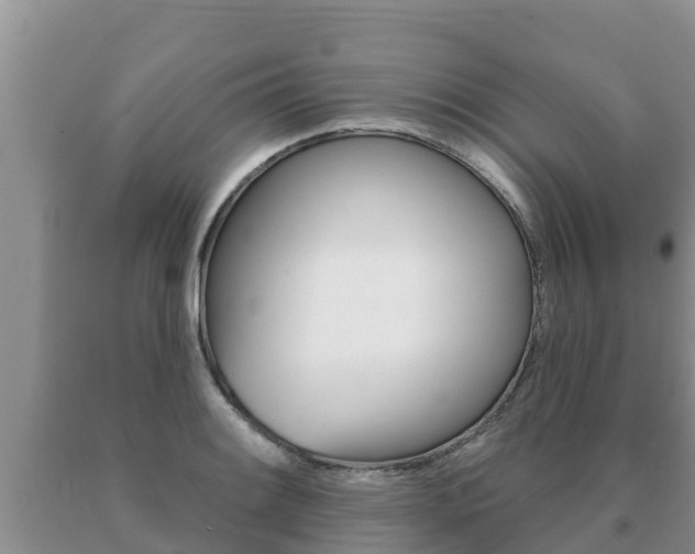 X0000091071084200708061017