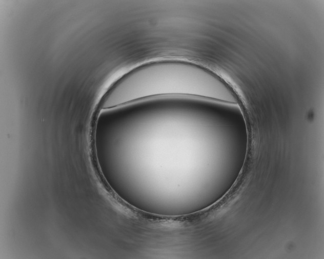 X0000091071085200708061017