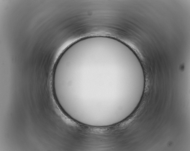 X0000091071086200708061017