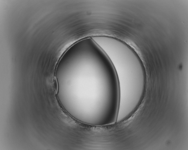 X0000091071089200708061017