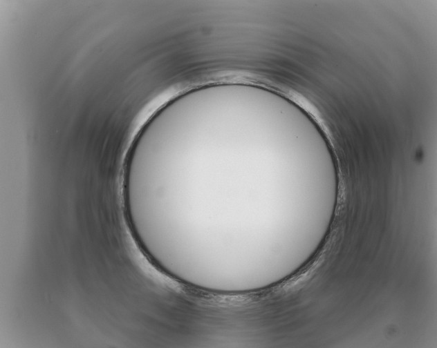 X0000091071090200708061017