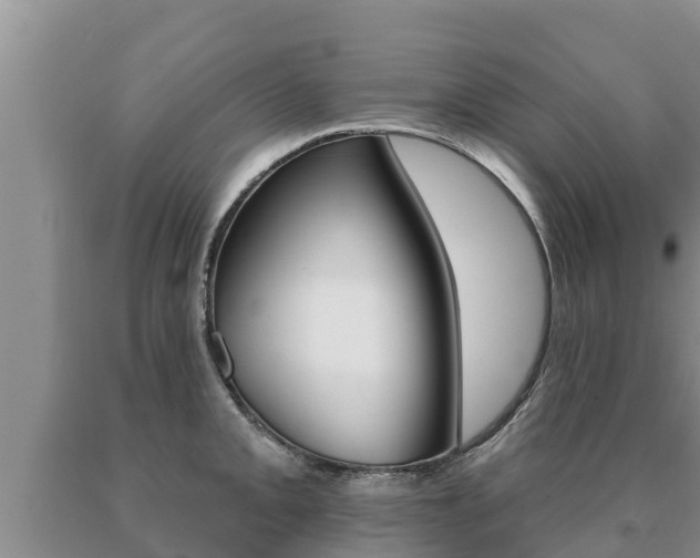 X0000091071093200708061017