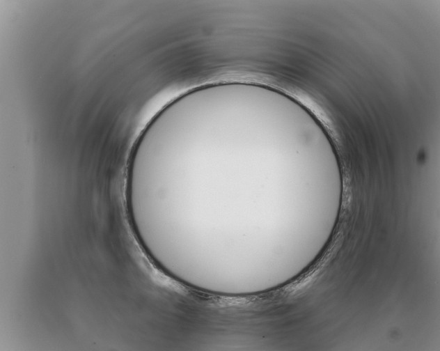 X0000091071094200708061017
