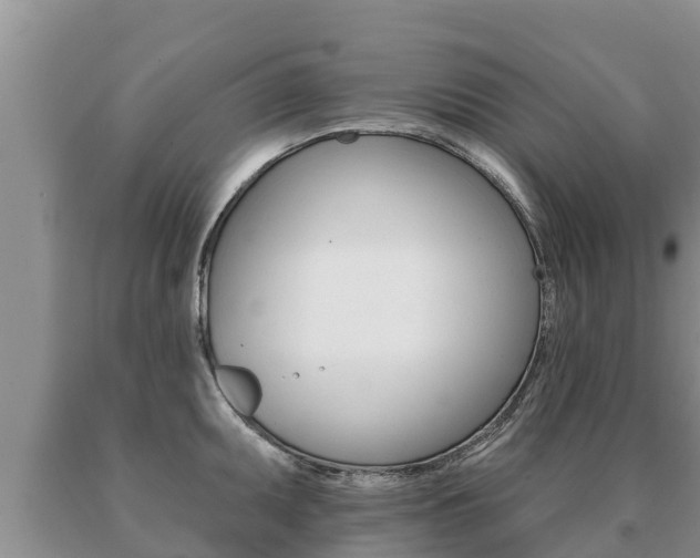 X0000091071095200708061017