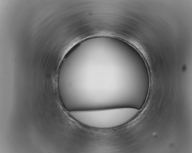 X0000091071097200708061017