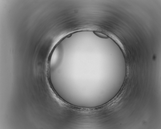 X0000091071099200708061017
