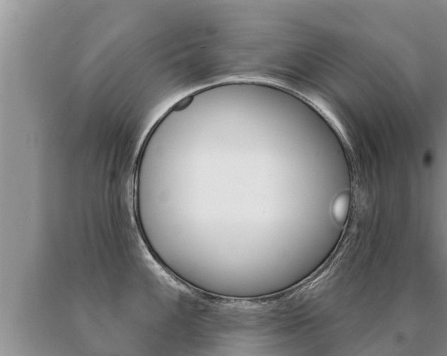 X0000091071100200708061017