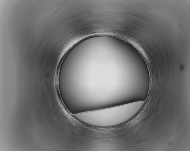X0000091071101200708061017