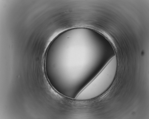 X0000091071102200708061017
