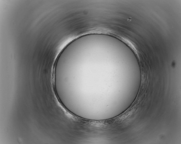 X0000091071103200708061017