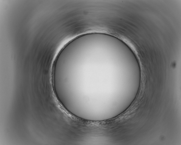 X0000091071104200708061017
