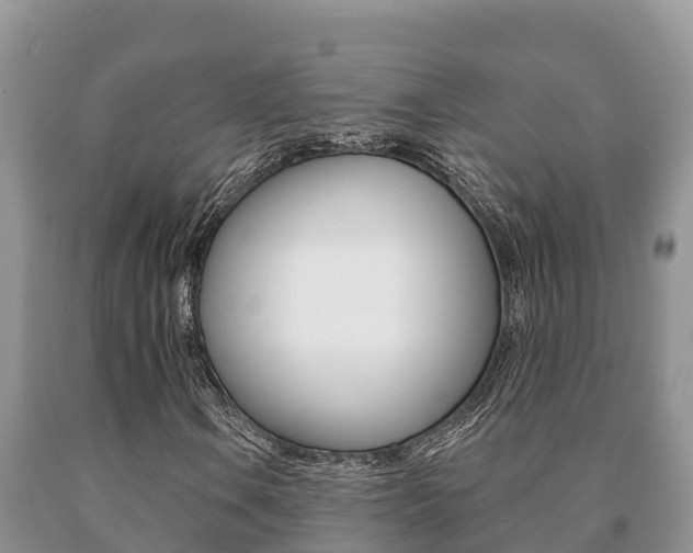 X0000091071106200708061016