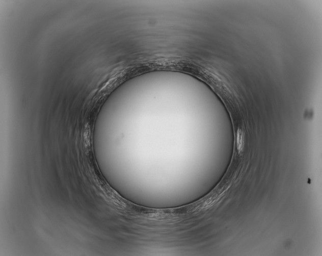 X0000091071107200708061016