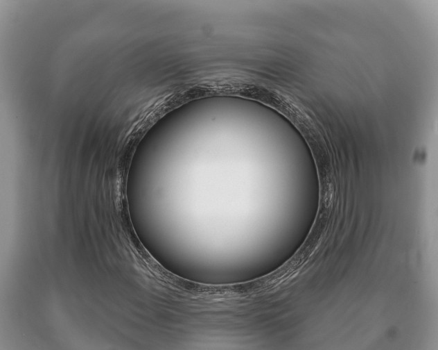 X0000091071108200708061016