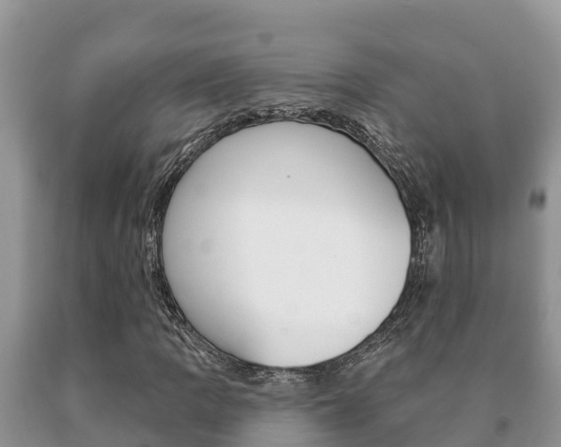 X0000091071109200708061016