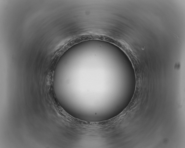 X0000091071110200708061016