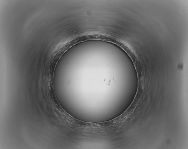 X0000091071111200708061016
