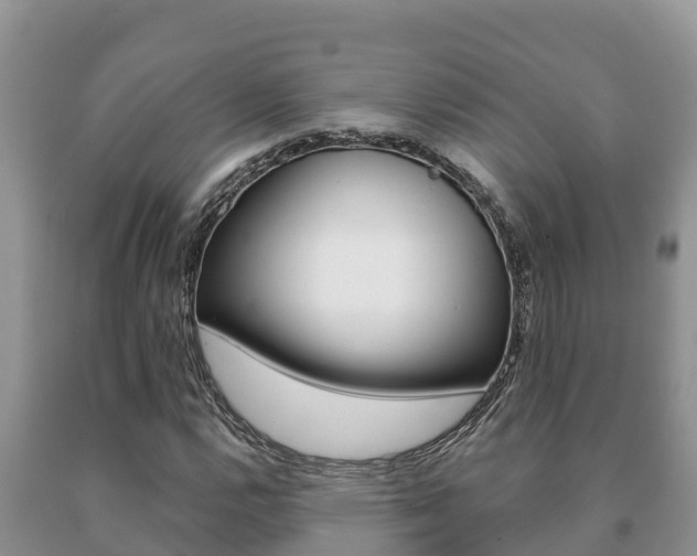 X0000091071112200708061016