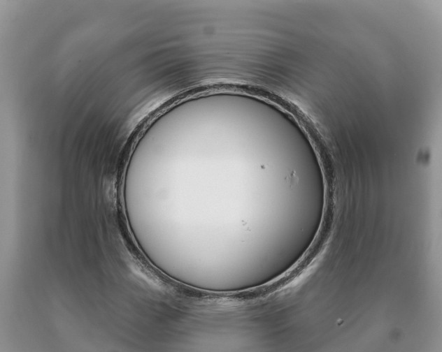 X0000091071113200708061016