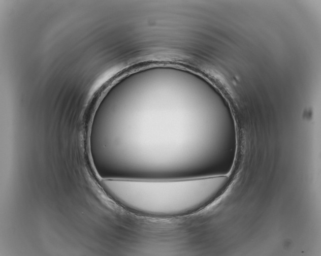 X0000091071114200708061016
